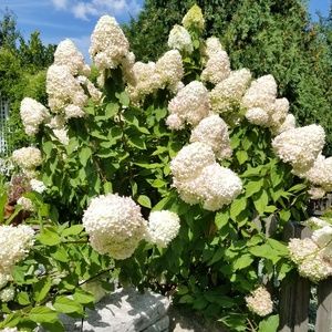 Going on vacation soon!